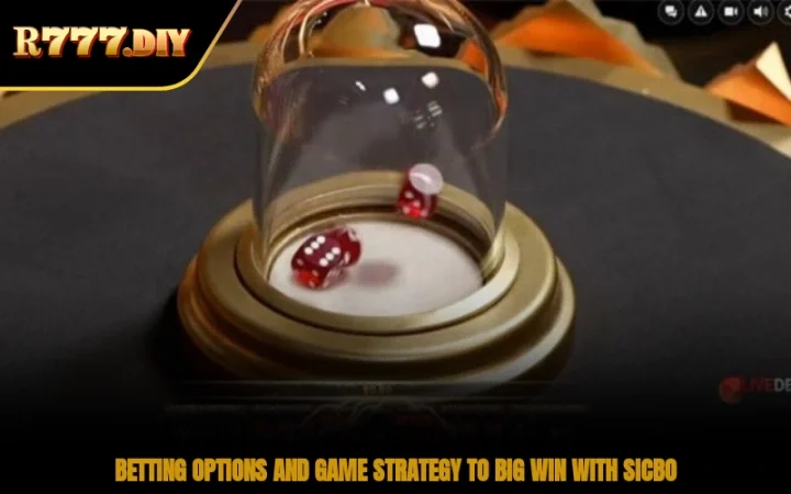 Betting options and game strategy to big win with sicbo