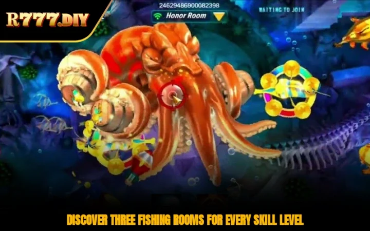 Discover three fishing rooms for every skill level