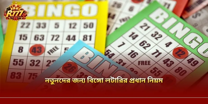 নতুনদের জন্য বিঙ্গো লটারির প্রধান নিয়ম