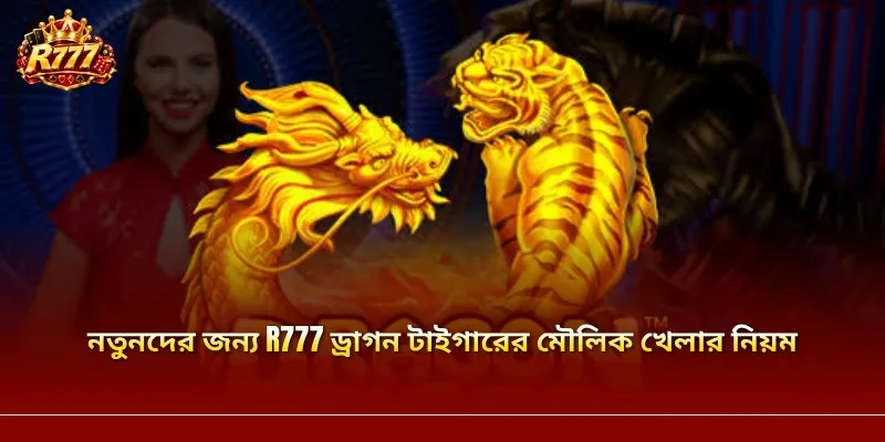 নতুনদের জন্য R777 ড্রাগন টাইগারের মৌলিক খেলার নিয়ম