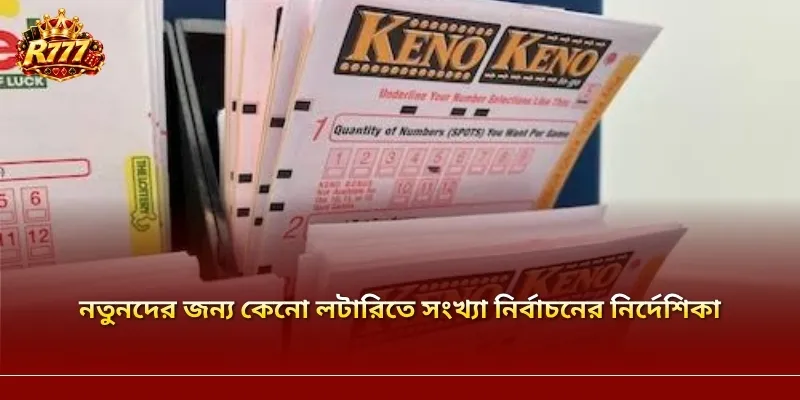 নতুনদের জন্য কেনো লটারিতে সংখ্যা নির্বাচনের নির্দেশিকা