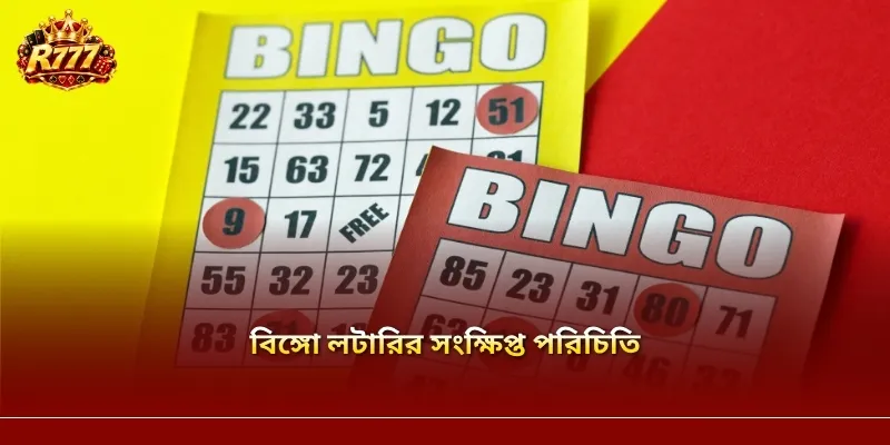 বিঙ্গো লটারির সংক্ষিপ্ত পরিচিতি