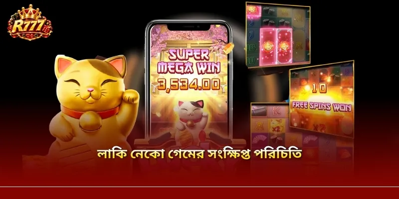 লাকি নেকো গেমের সংক্ষিপ্ত পরিচিতি