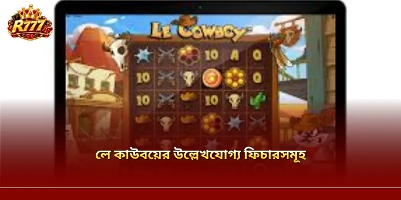 লে কাউবয়ের উল্লেখযোগ্য ফিচারসমূহ